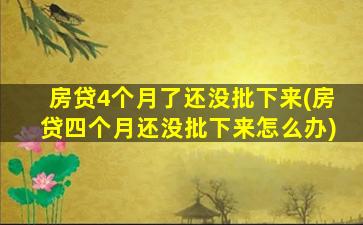 房贷4个月了还没批下来(房贷四个月还没批下来怎么办)