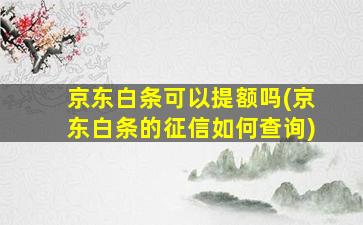 京东白条可以提额吗(京东白条的征信如何查询)