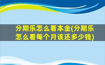 分期乐怎么看本金(分期乐怎么看每个月该还多少钱)