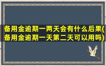 备用金逾期一两天会有什么后果(备用金逾期一天第二天可以用吗)