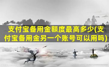 支付宝备用金额度最高多少(支付宝备用金另一个账号可以用吗)