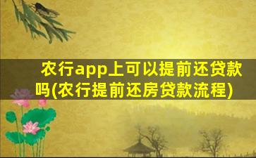 农行app上可以提前还贷款吗(农行提前还房贷款流程)