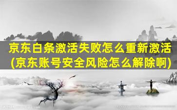 京东白条激活失败怎么重新激活(京东账号安全风险怎么解除啊)