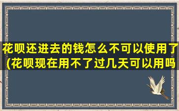 花呗还进去的钱怎么不可以使用了(花呗现在用不了过几天可以用吗)