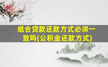 组合贷款还款方式必须一致吗(公积金还款方式)