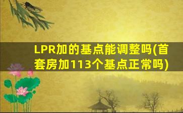 LPR加的基点能调整吗(首套房加113个基点正常吗)