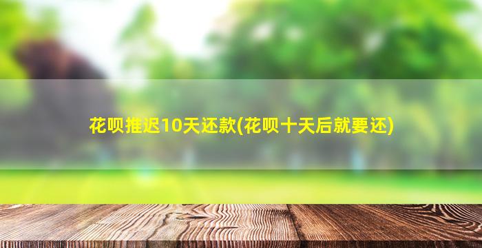 花呗推迟10天还款(花呗十天后就要还)