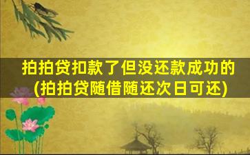 拍拍贷扣款了但没还款成功的(拍拍贷随借随还次日可还)