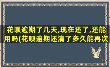 花呗逾期了几天,现在还了,还能用吗(花呗逾期还清了多久能再次使用花呗)