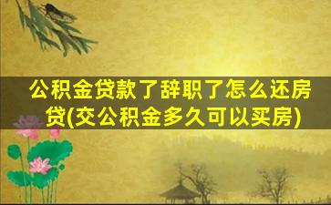 公积金贷款了辞职了怎么还房贷(交公积金多久可以买房)