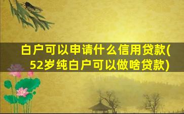 白户可以申请什么信用贷款(52岁纯白户可以做啥贷款)