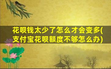 花呗钱太少了怎么才会变多(支付宝花呗额度不够怎么办)