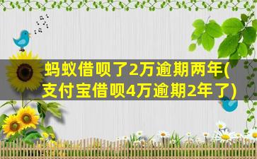 蚂蚁借呗了2万逾期两年(支付宝借呗4万逾期2年了)