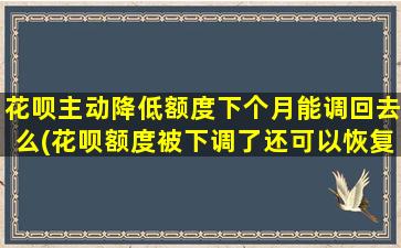 花呗主动降低额度下个月能调回去么(花呗额度被下调了还可以恢复吗)