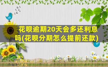 花呗逾期20天会多还利息吗(花呗分期怎么提前还款)