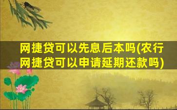 网捷贷可以先息后本吗(农行网捷贷可以申请延期还款吗)