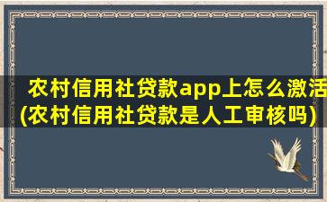 农村信用社贷款app上怎么激活(农村信用社贷款是人工审核吗)