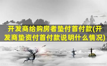 开发商给购房者垫付首付款(开发商垫资付首付款说明什么情况)