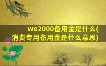 we2000备用金是什么(消费专用备用金是什么意思)