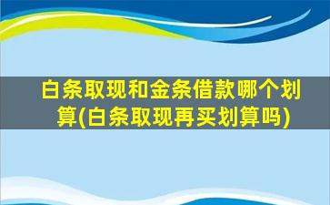 白条取现和金条借款哪个划算(白条取现再买划算吗)