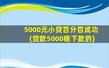 5000元小贷百分百成功(贷款5000稳下款的)