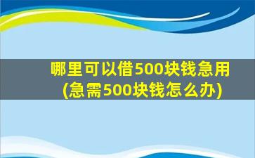 哪里可以借500块钱急用(急需500块钱怎么办)