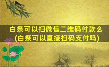 白条可以扫微信二维码付款么(白条可以直接扫码支付吗)