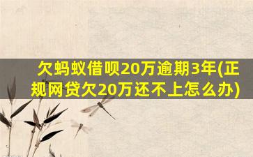 欠蚂蚁借呗20万逾期3年(正规网贷欠20万还不上怎么办)