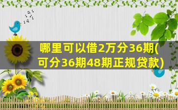 哪里可以借2万分36期(可分36期48期正规贷款)