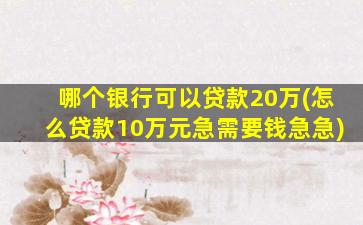 哪个银行可以贷款20万(怎么贷款10万元急需要钱急急)