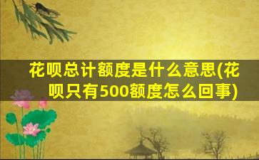 花呗总计额度是什么意思(花呗只有500额度怎么回事)