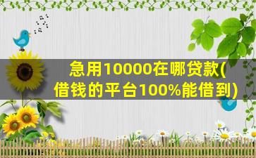 急用10000在哪贷款(借钱的平台100%能借到)