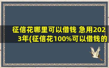 征信花哪里可以借钱 急用2023年(征信花100%可以借钱的)