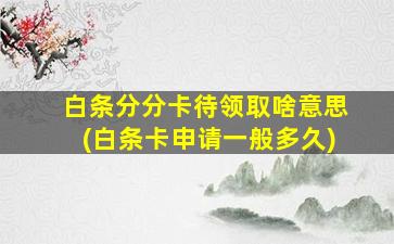 白条分分卡待领取啥意思(白条卡申请一般多久)