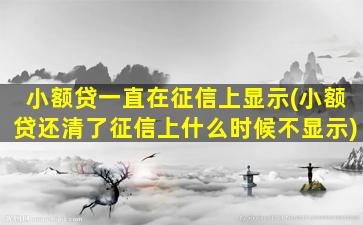 小额贷一直在征信上显示(小额贷还清了征信上什么时候不显示)