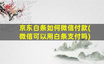 京东白条如何微信付款(微信可以用白条支付吗)