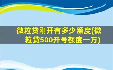 微粒贷刚开有多少额度(微粒贷500开号额度一万)