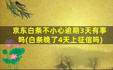 京东白条不小心逾期3天有事吗(白条晚了4天上征信吗)