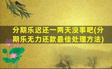 分期乐迟还一两天没事吧(分期乐无力还款最佳处理方法)