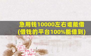 急用钱10000左右谁能借(借钱的平台100%能借到)