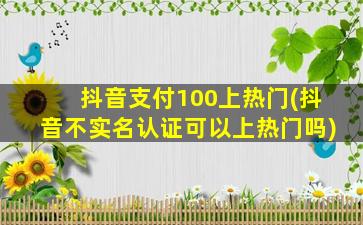 抖音支付100上热门(抖音不实名认证可以上热门吗)