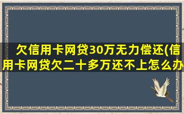 欠信用卡网贷30万无力偿还(信用卡网贷欠二十多万还不上怎么办)