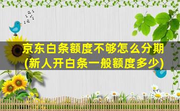 京东白条额度不够怎么分期(新人开白条一般额度多少)