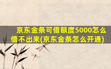 京东金条可借额度5000怎么借不出来(京东金条怎么开通)