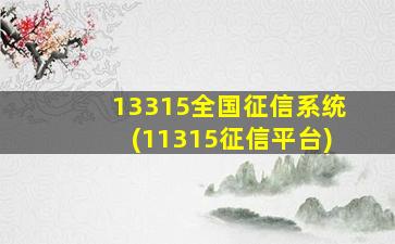 13315全国征信系统(11315征信平台)