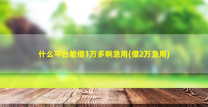 什么平台能借1万多啊急用(借2万急用)