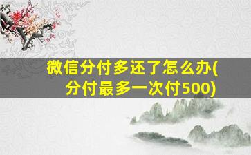 微信分付多还了怎么办(分付最多一次付500)