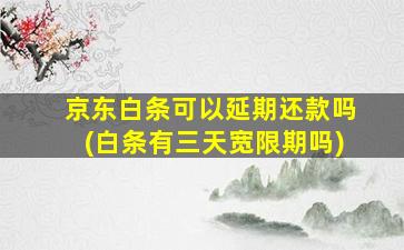 京东白条可以延期还款吗(白条有三天宽限期吗)