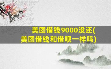 美团借钱9000没还(美团借钱和借呗一样吗)