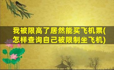 我被限高了居然能买飞机票(怎样查询自己被限制坐飞机)